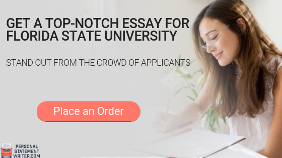 fsu honors college essay examples